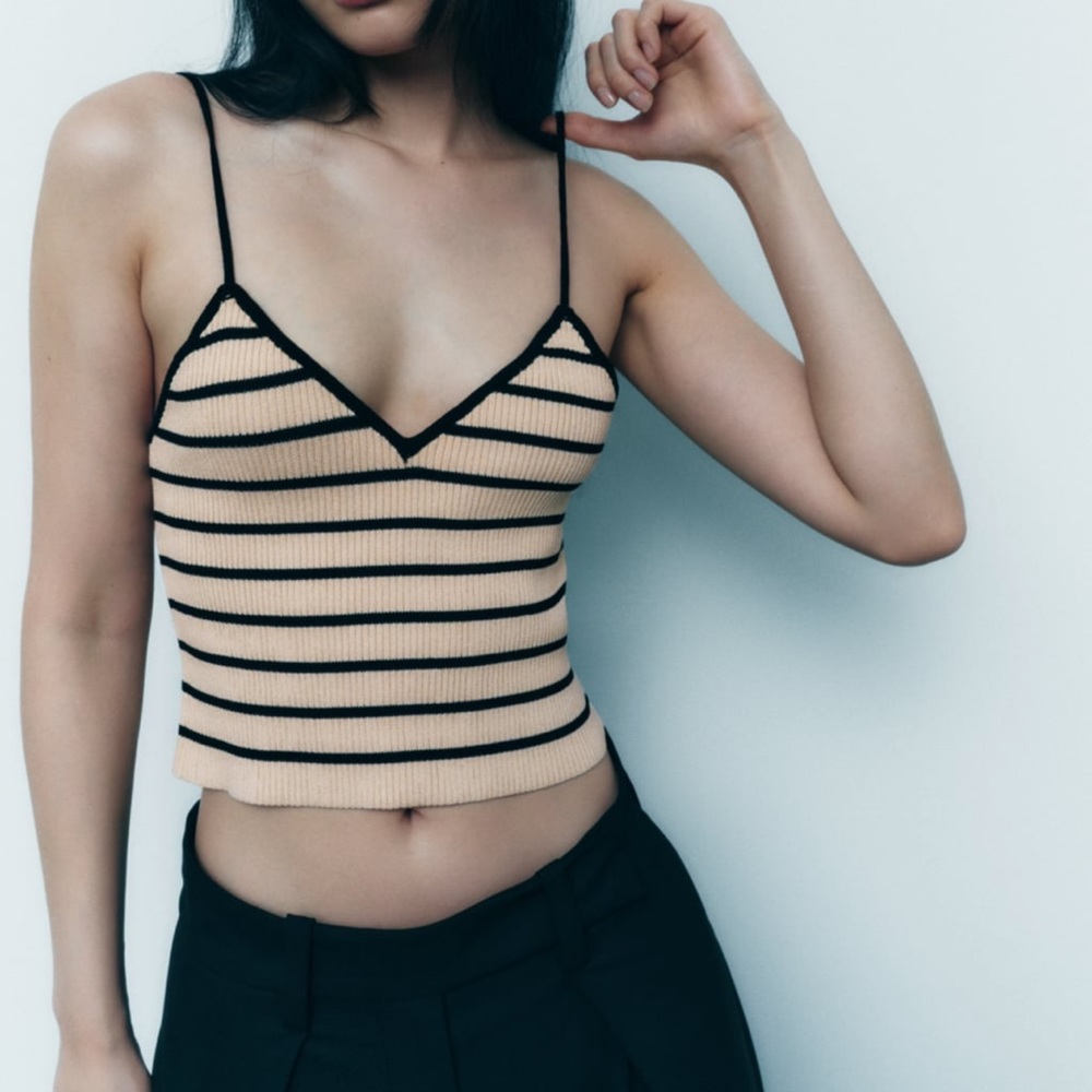 Zara Knit top